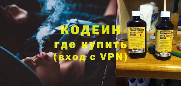 индика Абинск