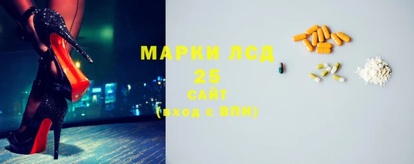индика Абинск