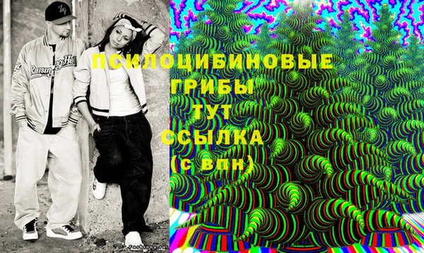 индика Абинск