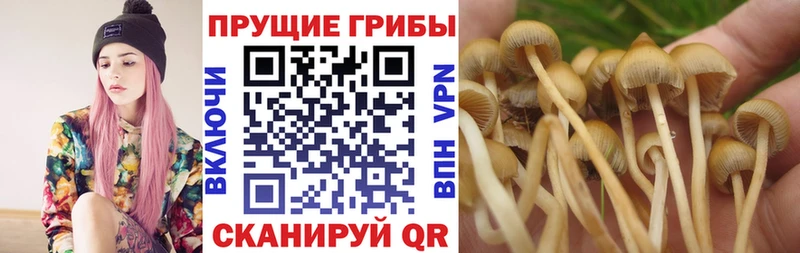 Галлюциногенные грибы прущие грибы магазин Сызрань