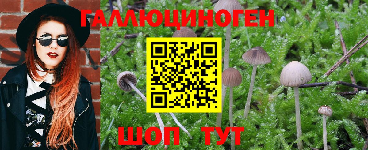 Псилоцибиновые грибы GOLDEN TEACHER Сызрань