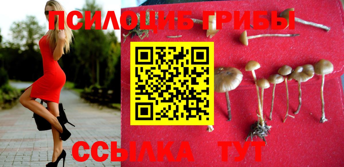 Галлюциногенные грибы GOLDEN TEACHER  Вход с VPN  Сызрань 