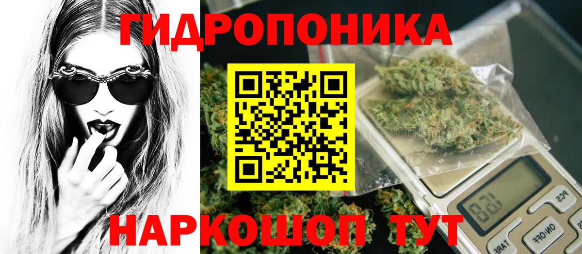 Конопля Bruce Banner  Каннабис VHQ  Вход с VPN  Сызрань 